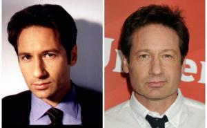  / David Duchovny, FOTO vokrug.tv - celebrityhive